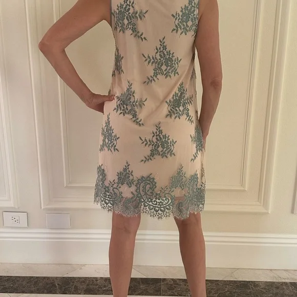 Max Studio Lace Embroidered A-Line Dress – Beige & Teal Floral Size S - Picture 3 of 14